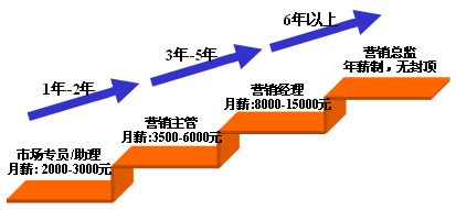 營(yíng)銷之路 通往世界500強(qiáng)領(lǐng)導(dǎo)層的戰(zhàn)略起點(diǎn)